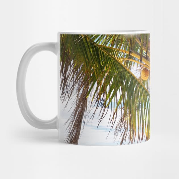 Tropical Palm Trees by NewburyBoutique